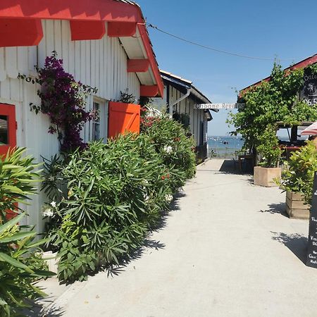 Villa Aitama Lège-Cap-Ferret Eksteriør billede