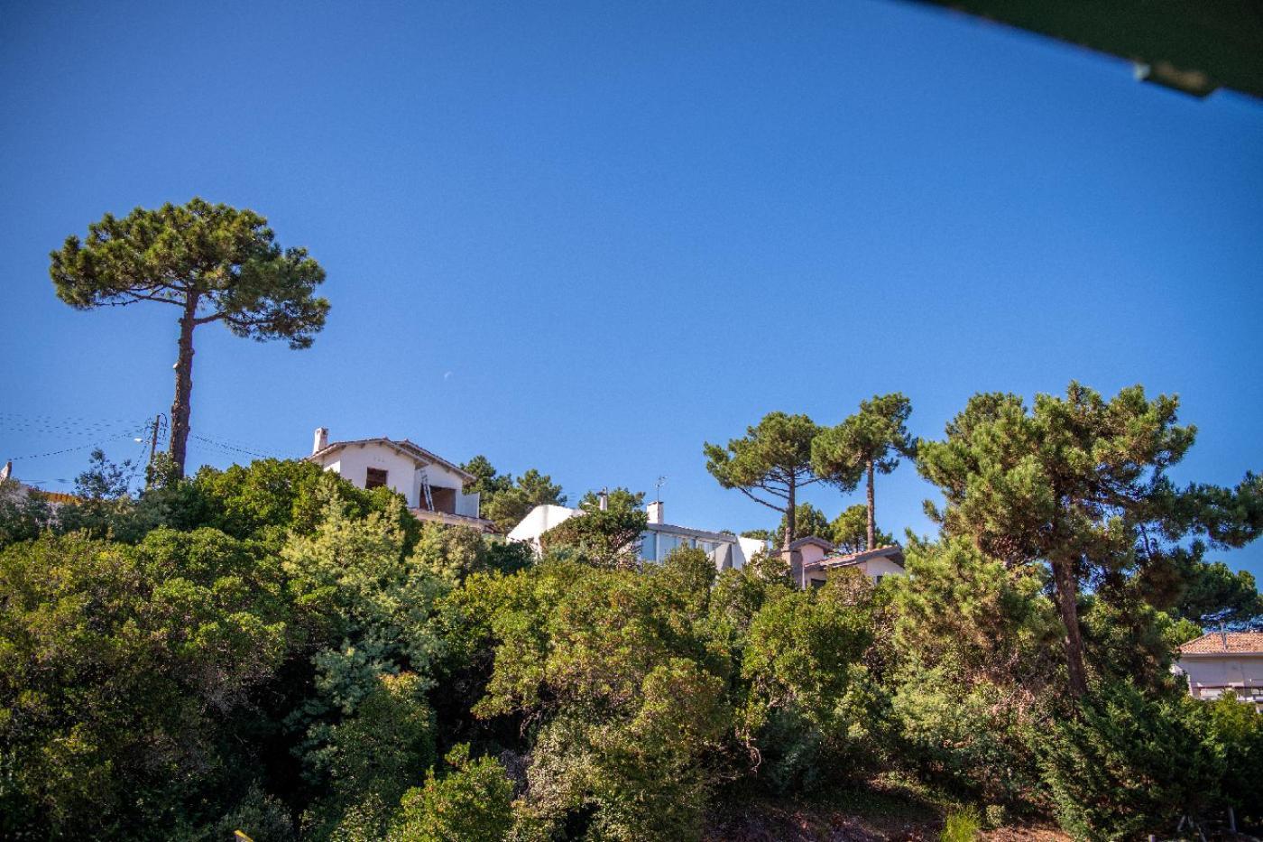 Villa Aitama Lège-Cap-Ferret Eksteriør billede