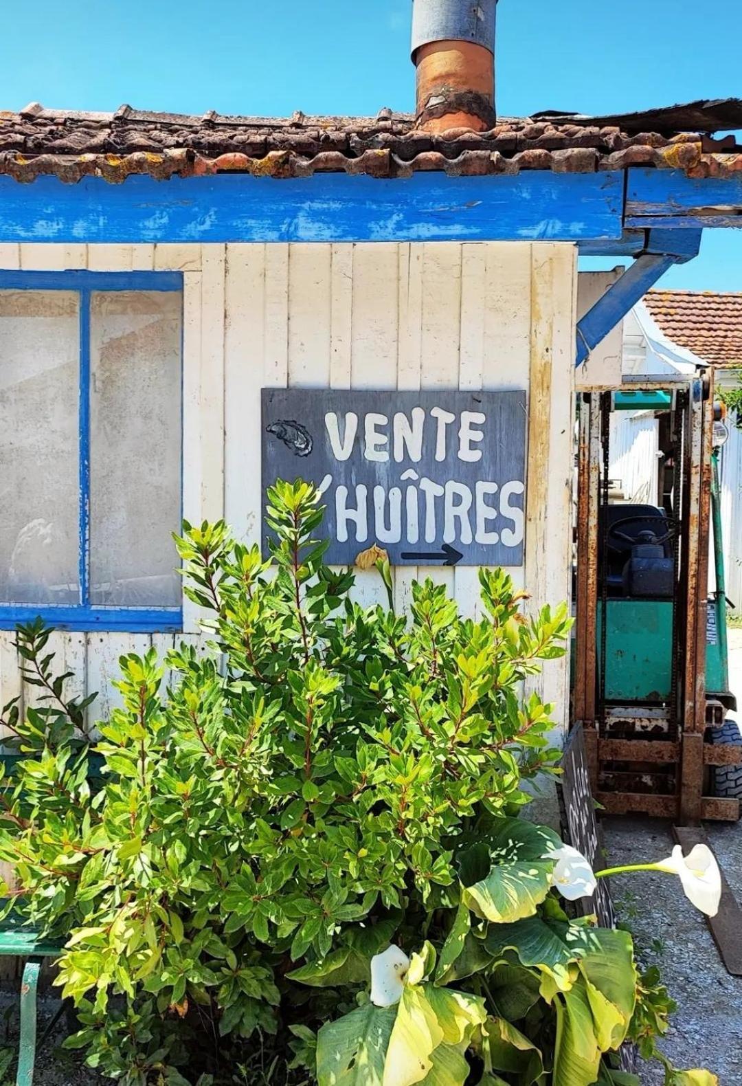 Villa Aitama Lège-Cap-Ferret Eksteriør billede